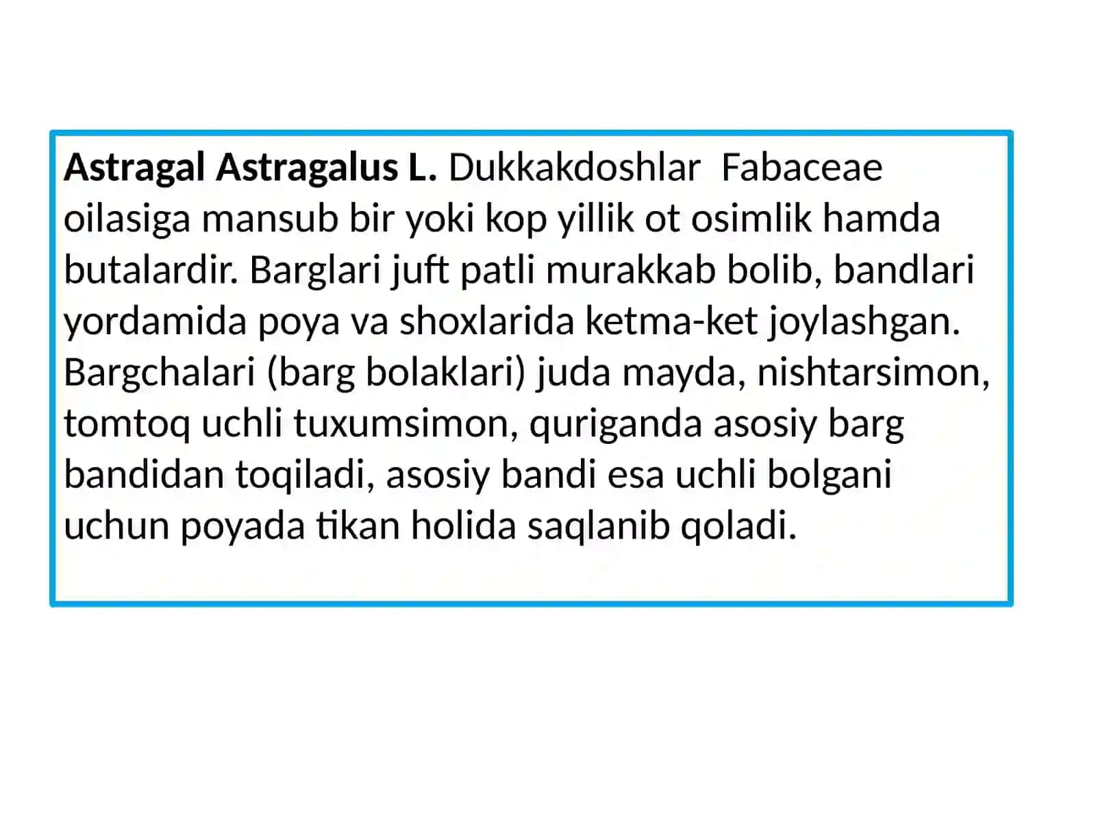 Burchoqdoshlar va tutdoshlar oilalari vakillarining dorivorlik xususiyatlari 4