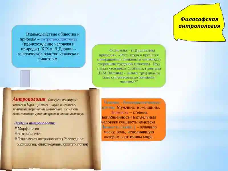 Философия человека. (Философская антропология) 4