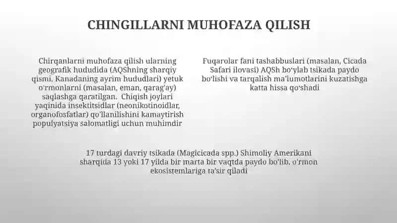 Teng qanotlilar turkumi homoptera 4