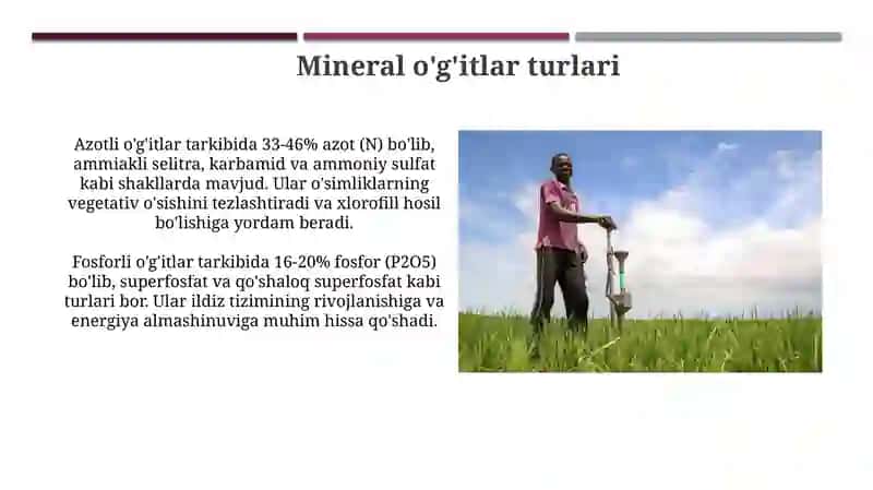 Mineral o'gitlarning qishloq xo'jaligidagi ahamiyati 4