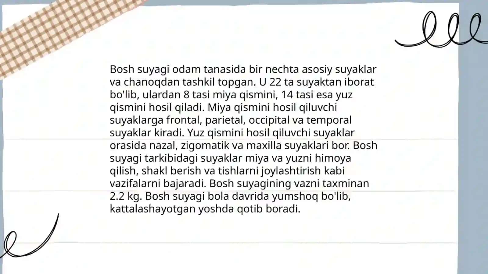 Boshning anatomiyasi 4