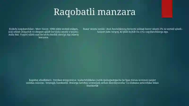 Asal Arichilik Biznes Rejasi 4