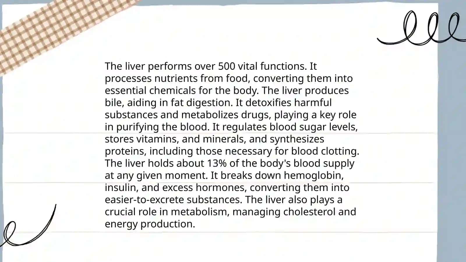 Liver 4
