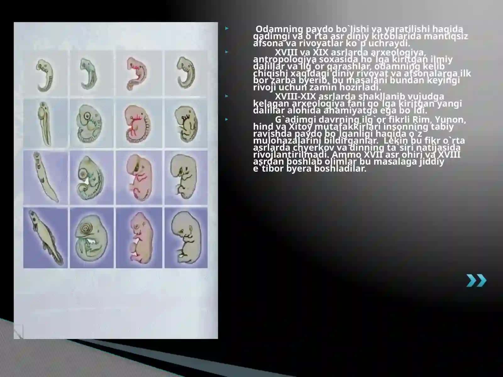 Odam evolyutsiyasi 4