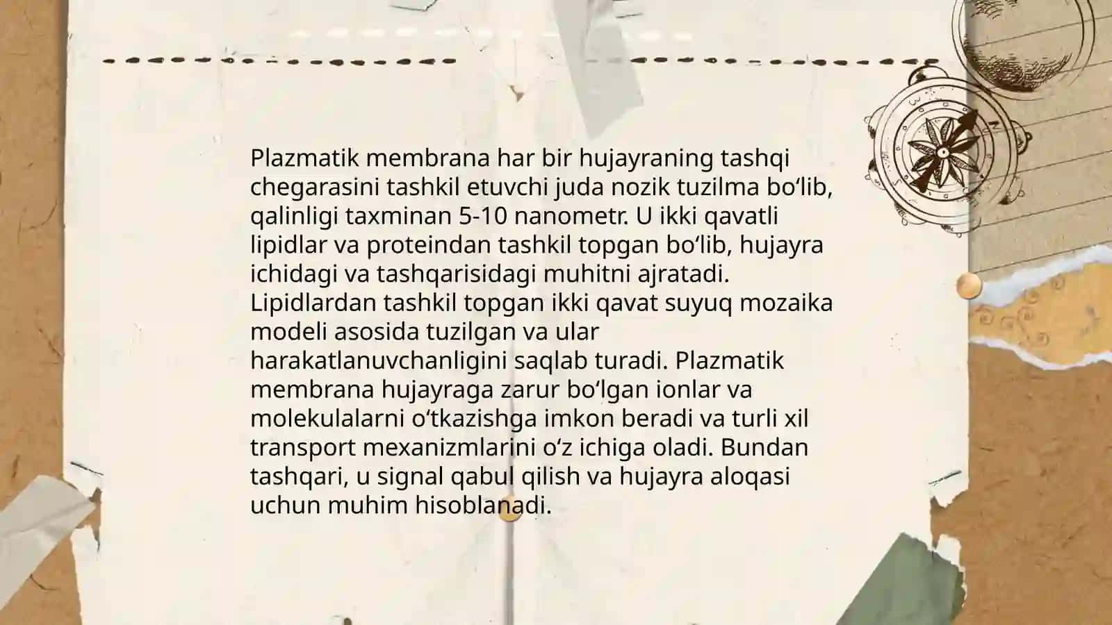 Hujayra tashkillanishi 4