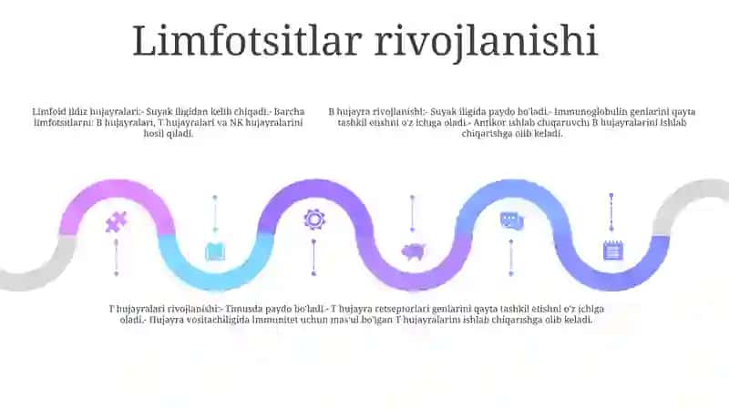 Limfotsitopoez 4