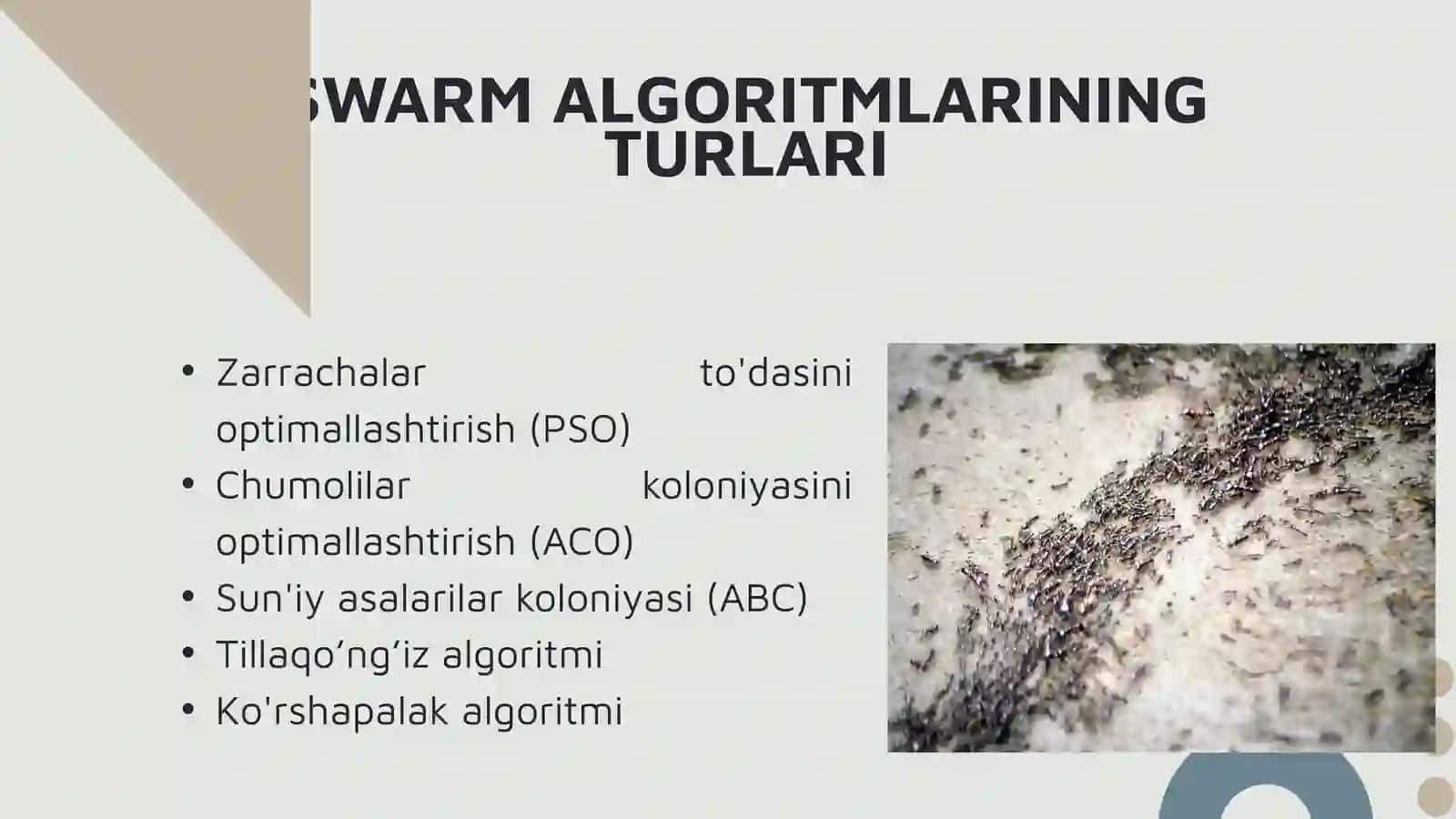 Swarm algoritmi 4
