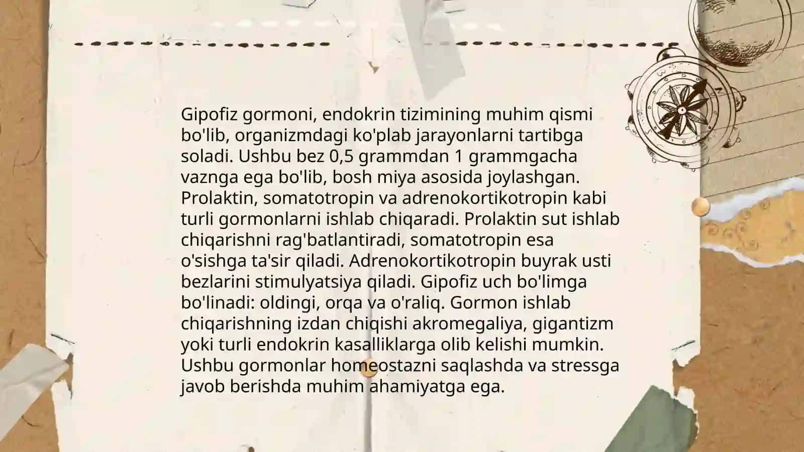 Gormonoidlar 4