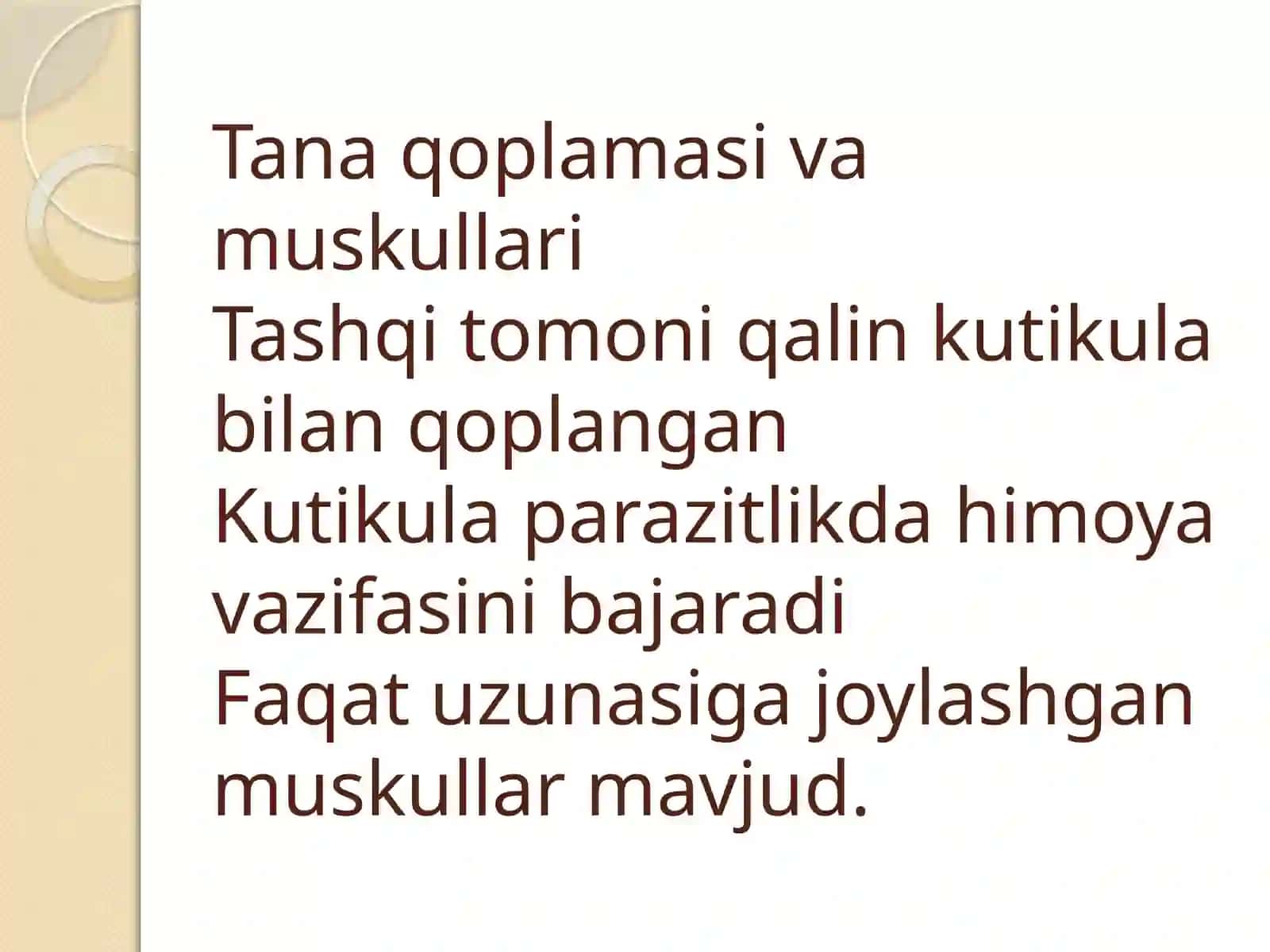 Parazitnematodalar 4