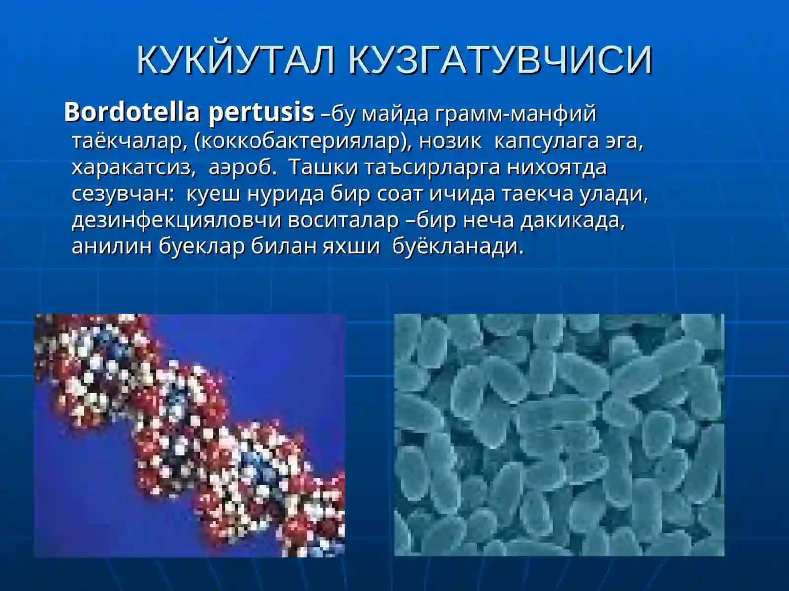 Кукйутал. Эпидемикпаротит 4