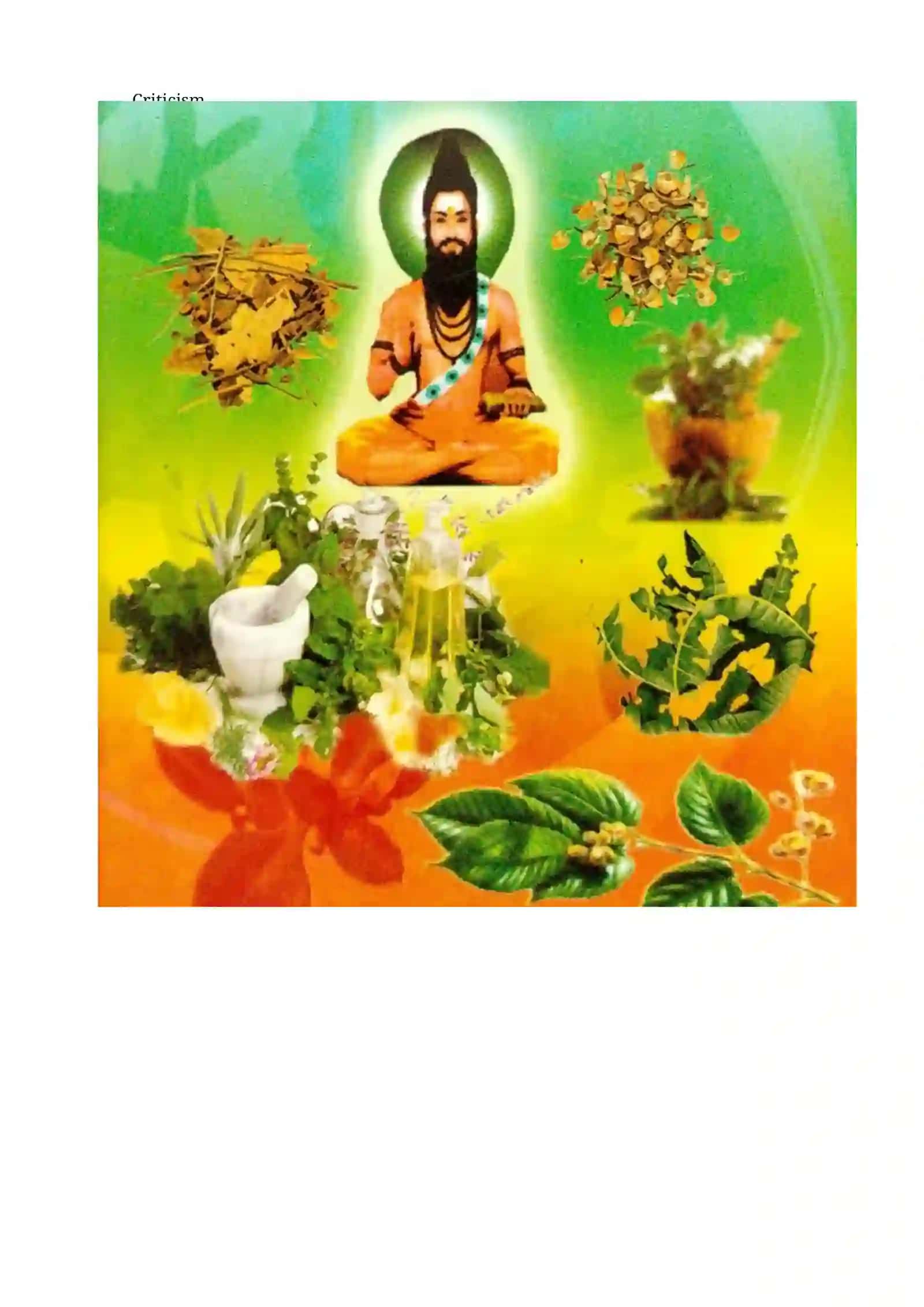 Siddha Medicine 4