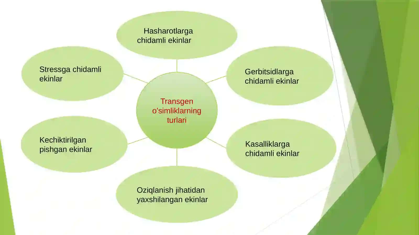 Trangen O'simliklar 4