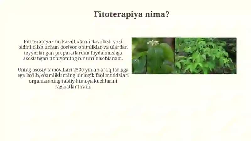 Infeksioniy fitoterapiya 4