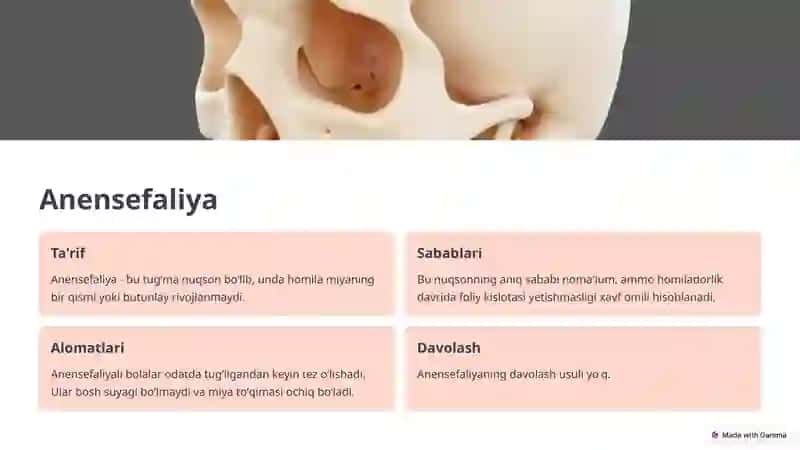Markaziy Nerv Tizimi Tugʻma Rivojlanish Nuqsonlari 4
