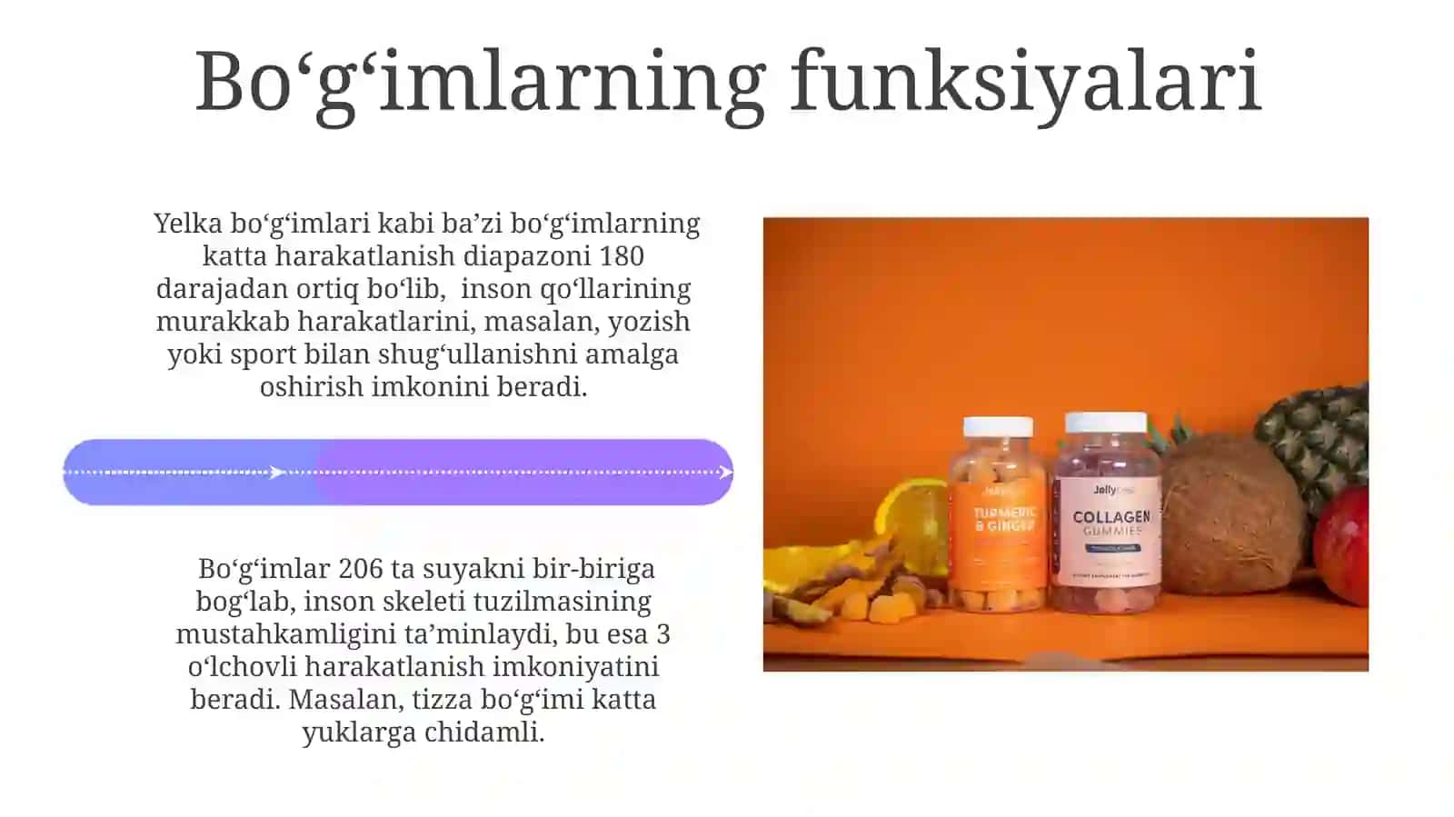 Suyaklarning birikishi, boʻgʻimlar va ularning turlari 4