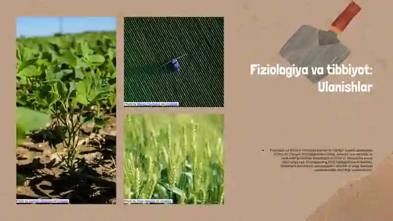 Fiziologiya fani rivojlanishi tibbiyotdagi ahamyati.Fiziologiyada tadqiqot usullari 4