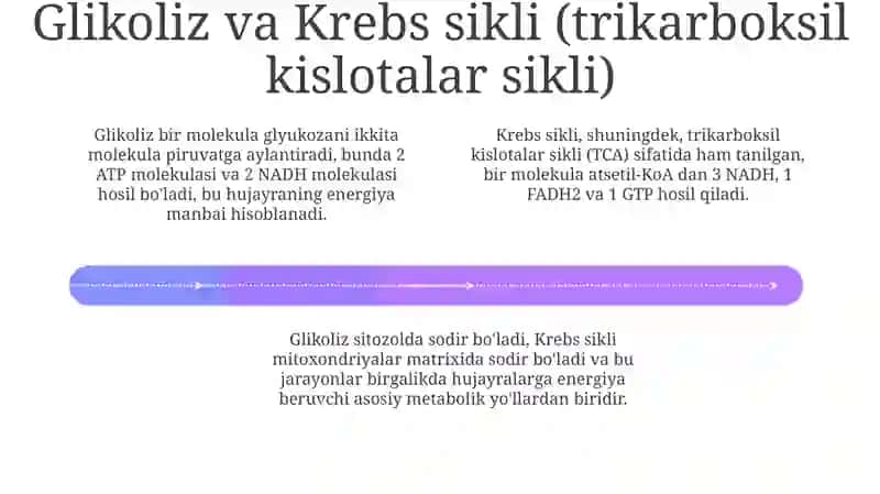 Hujayrada moddalar almashinuvi 4