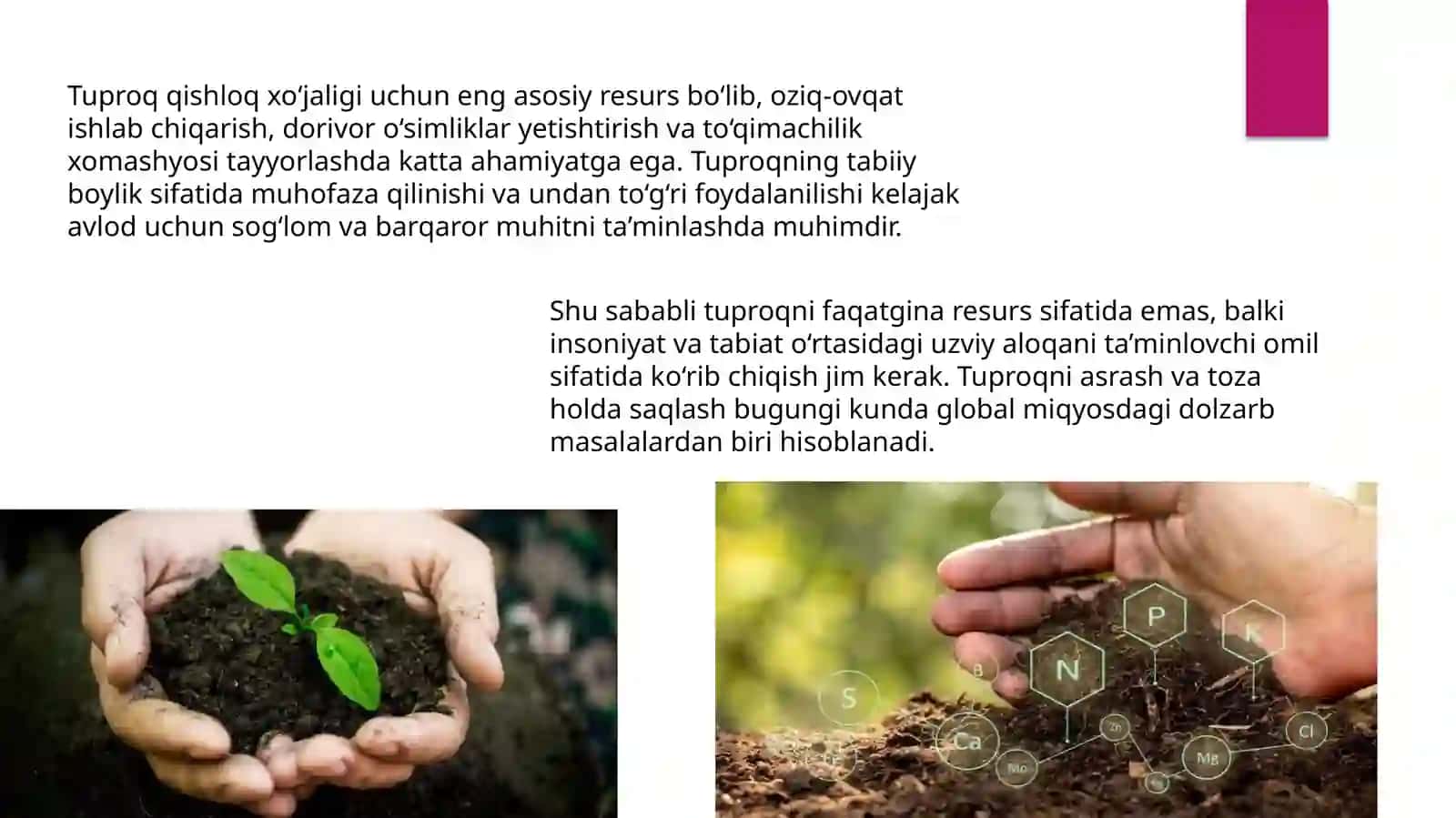 Tuproqning ifloslanishi va uni tozalash 4
