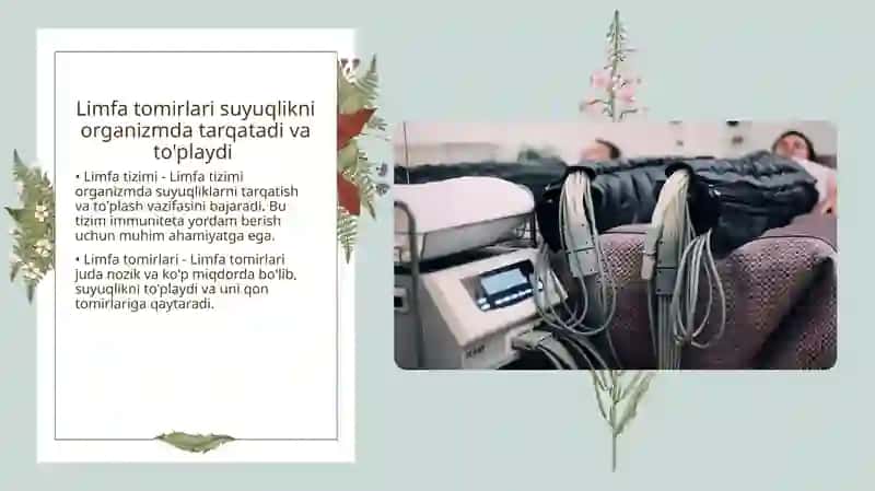 Limfa sistemasi 4