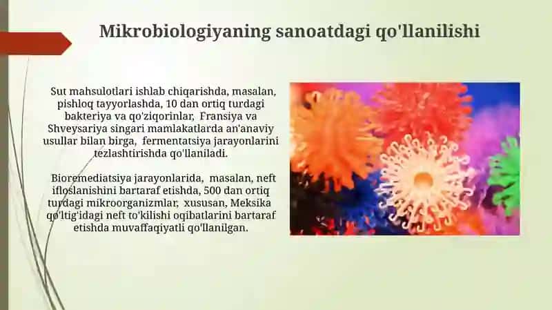 Mikrobiologiya fani rivojlanishi 4
