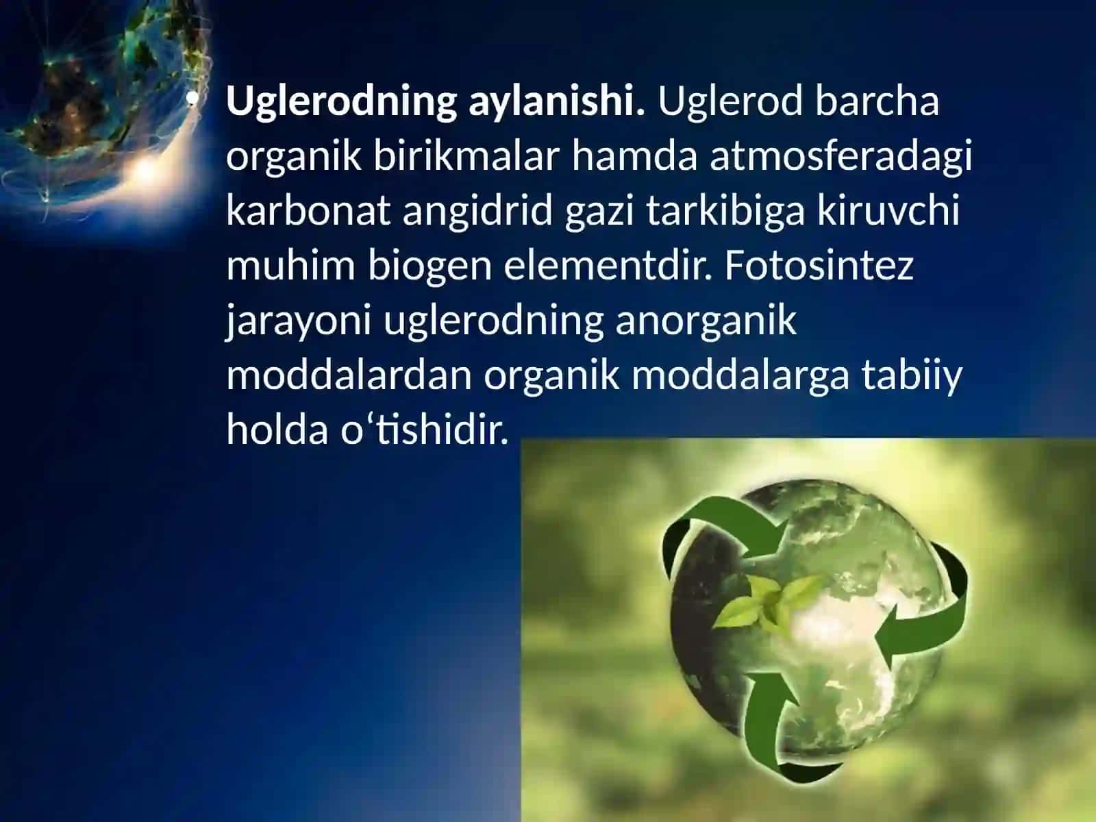 11-sinf Biologiya dars ishlanma. Biogeokimyoviy sikl 4