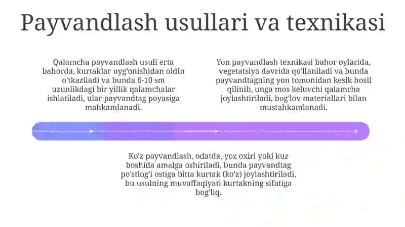MEVA O'SIMLIKLARINI QALAMCHA PAYVAND QILISH USULLARI 4