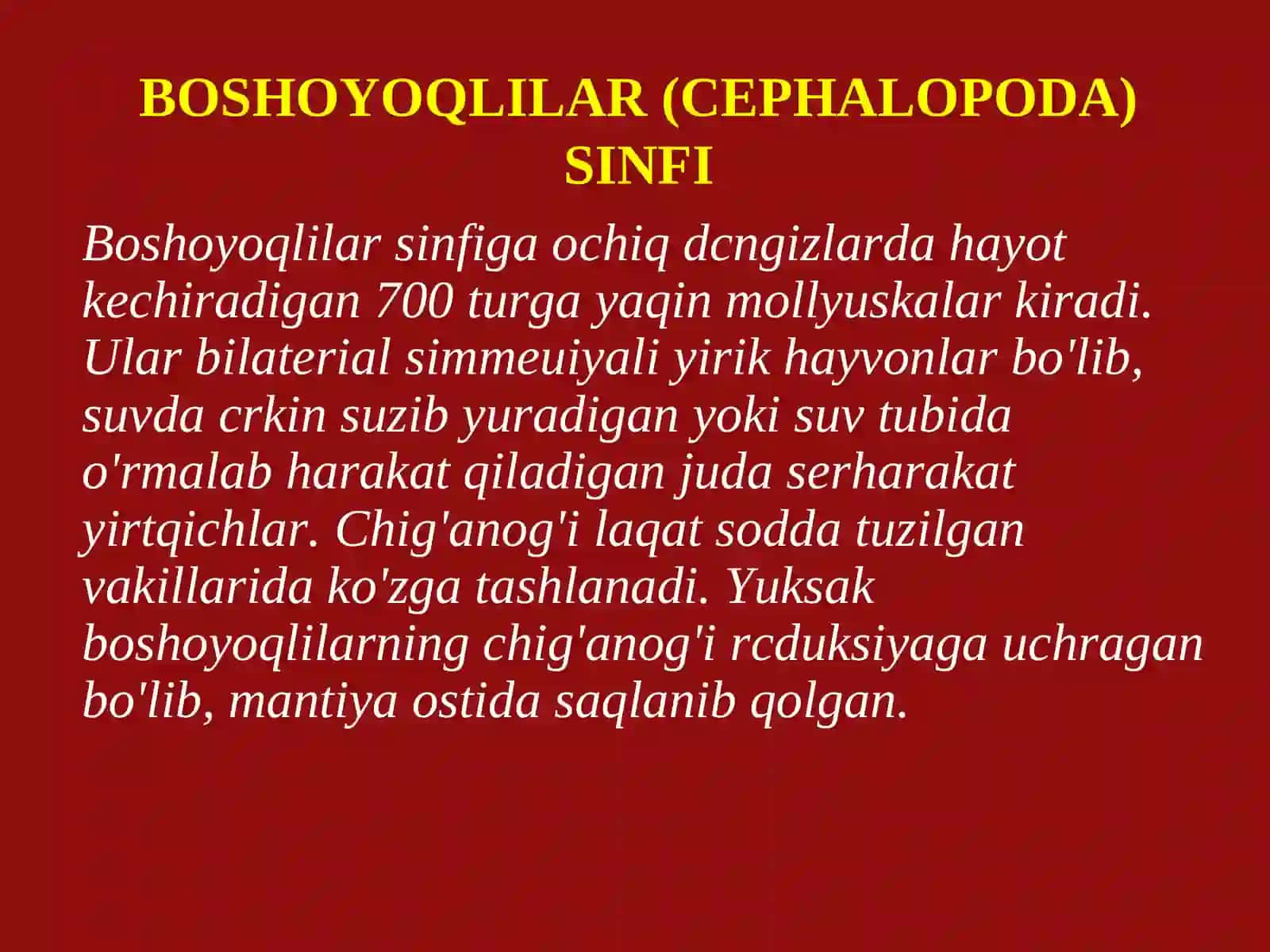 Boshoyoqlilar(Cephalopoda)sinfining tashqi tuzulishi 4