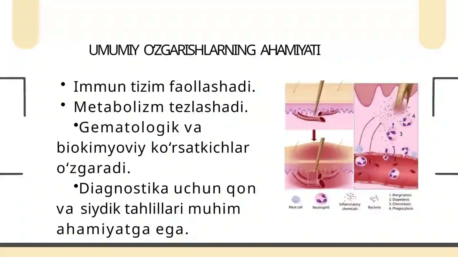 YALLIG‘LANISHJARAYONIDA ORGANIZM DAGIGANO‘ZGARISHLAR 4