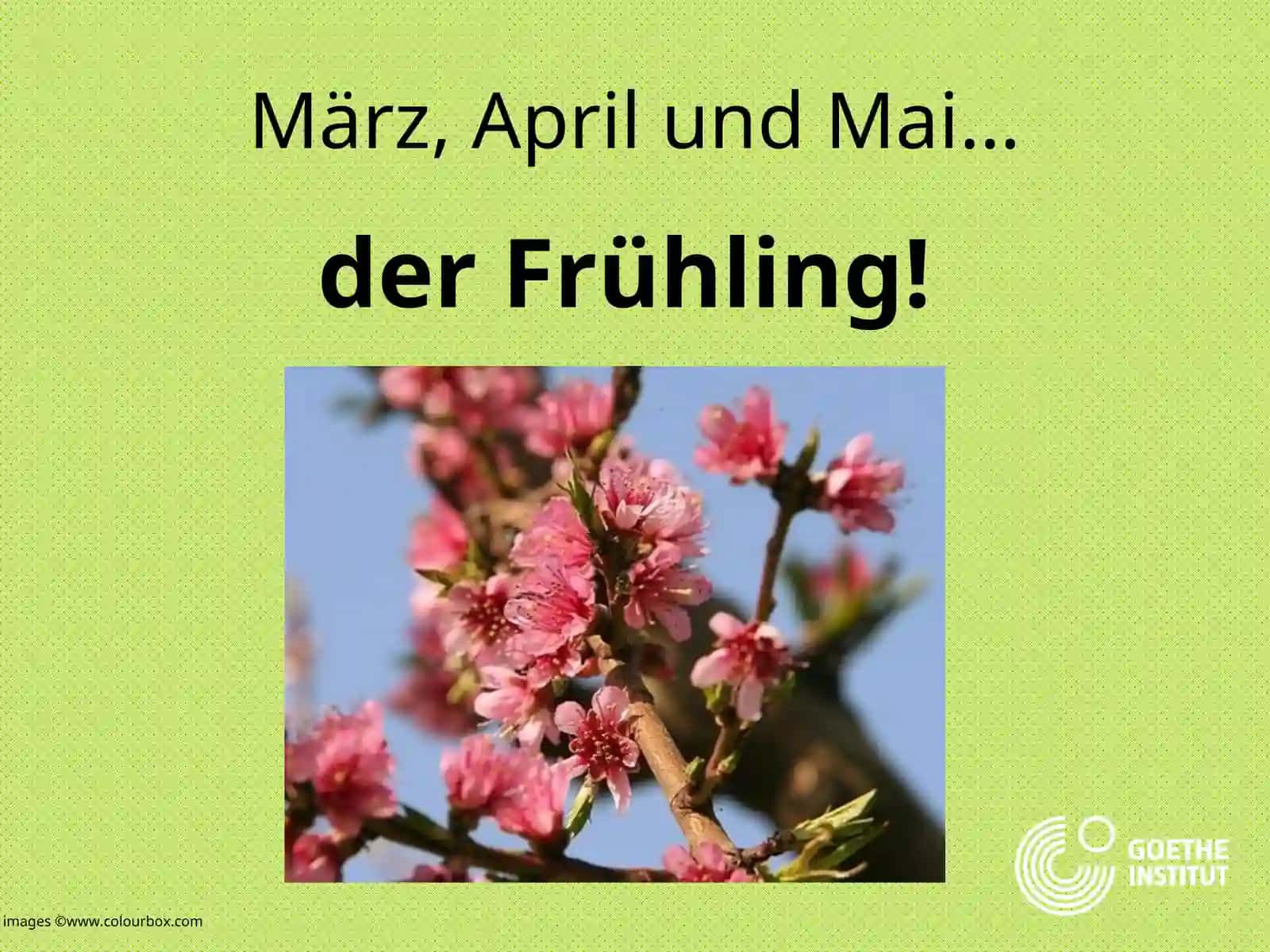 Die Jahreszeiten 4