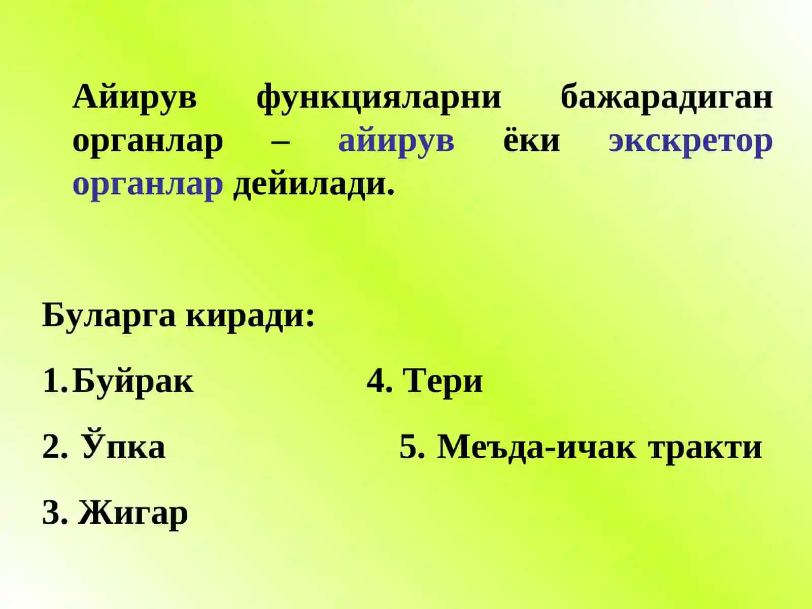 Айирув тизимининг физиологияси. Буйраклар физиологияси. 4