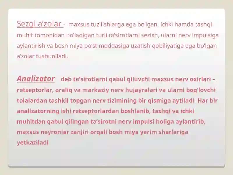 Sezgi a’zolari 4