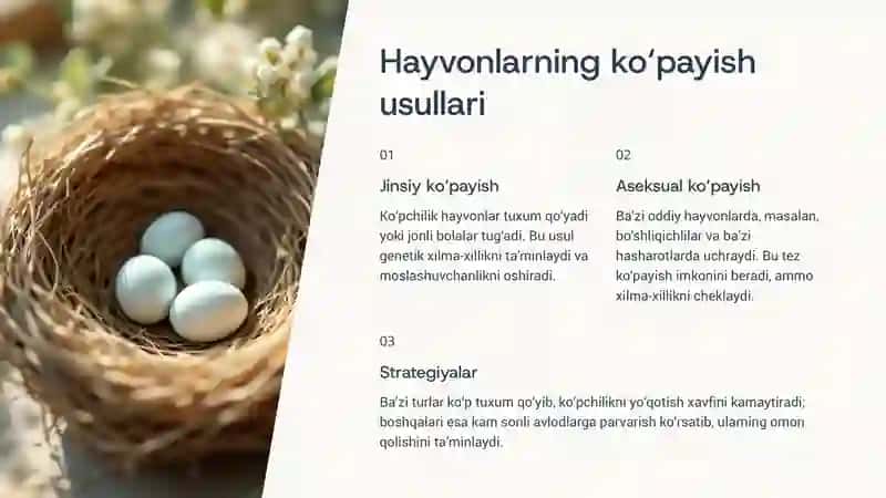 Fan: Tabiiy fanlar nazariyasi va metodikasi 4