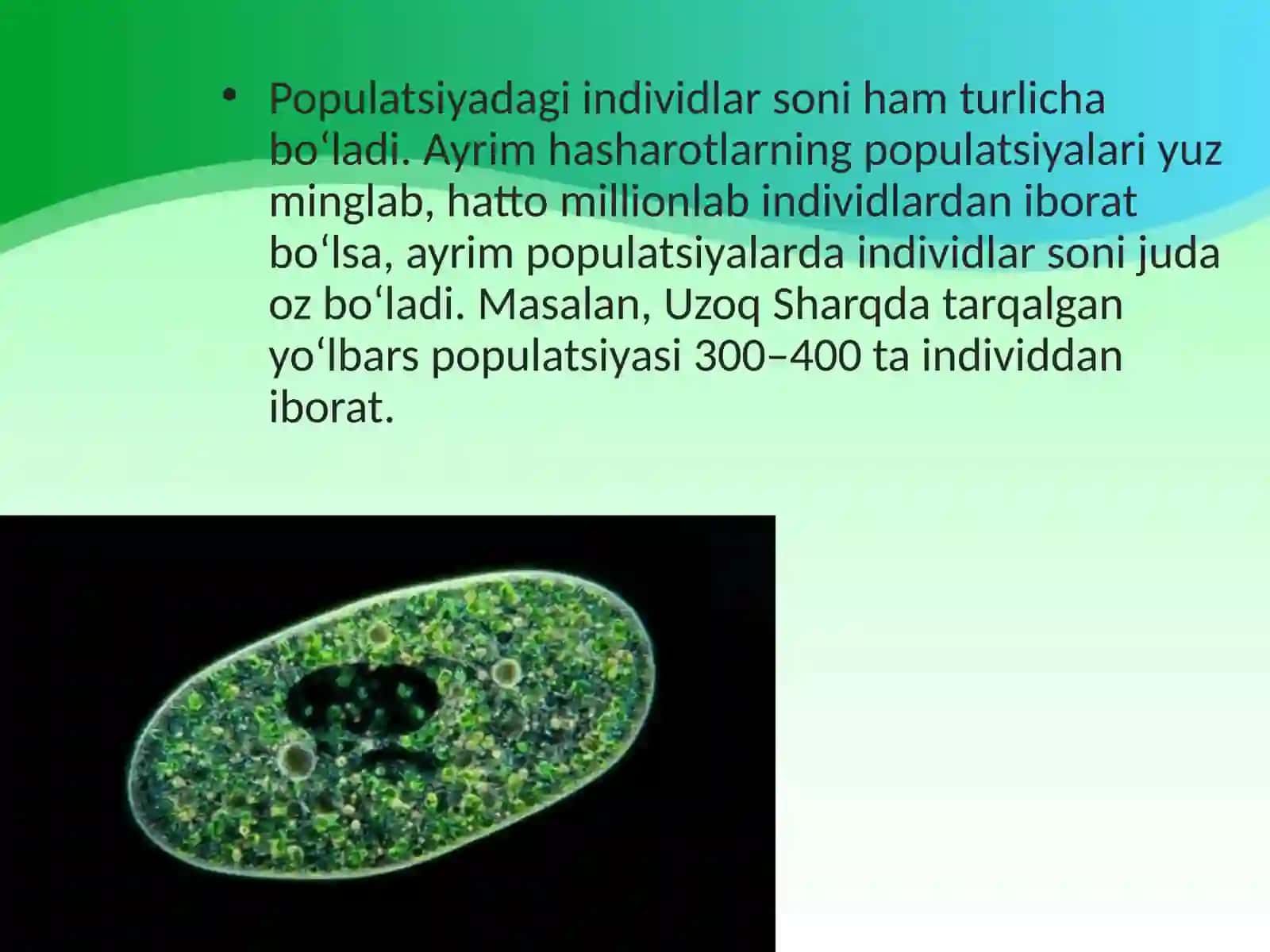 Populatsiya – turning tuzilish va evolutsiyaning boshlang‘ich birligi 4