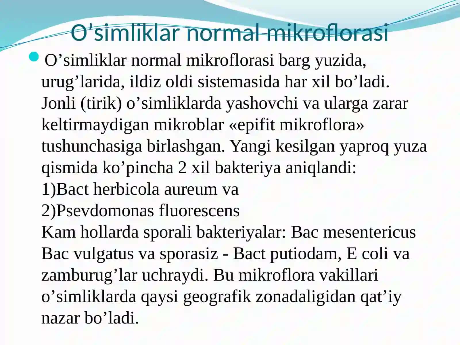 Dorivor oʼsimliklar xom ashyosining mikroflorasi 4