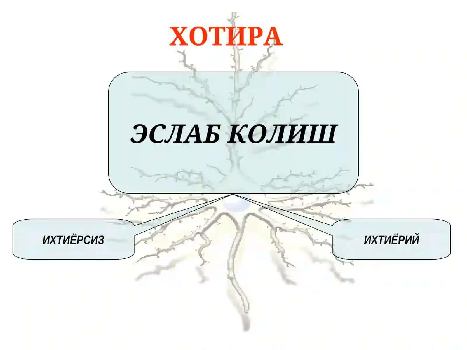 Психиатрия 4