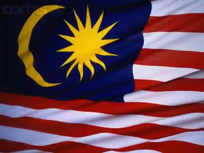 Malayziya Iqtisodiyoti 4