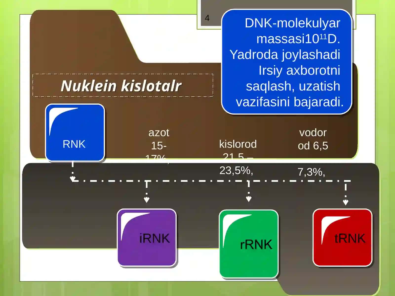 Nuklein kislotalarning tuzilishi,nuklein asoslari,nukleozidlar,mononukleotidlar. 4