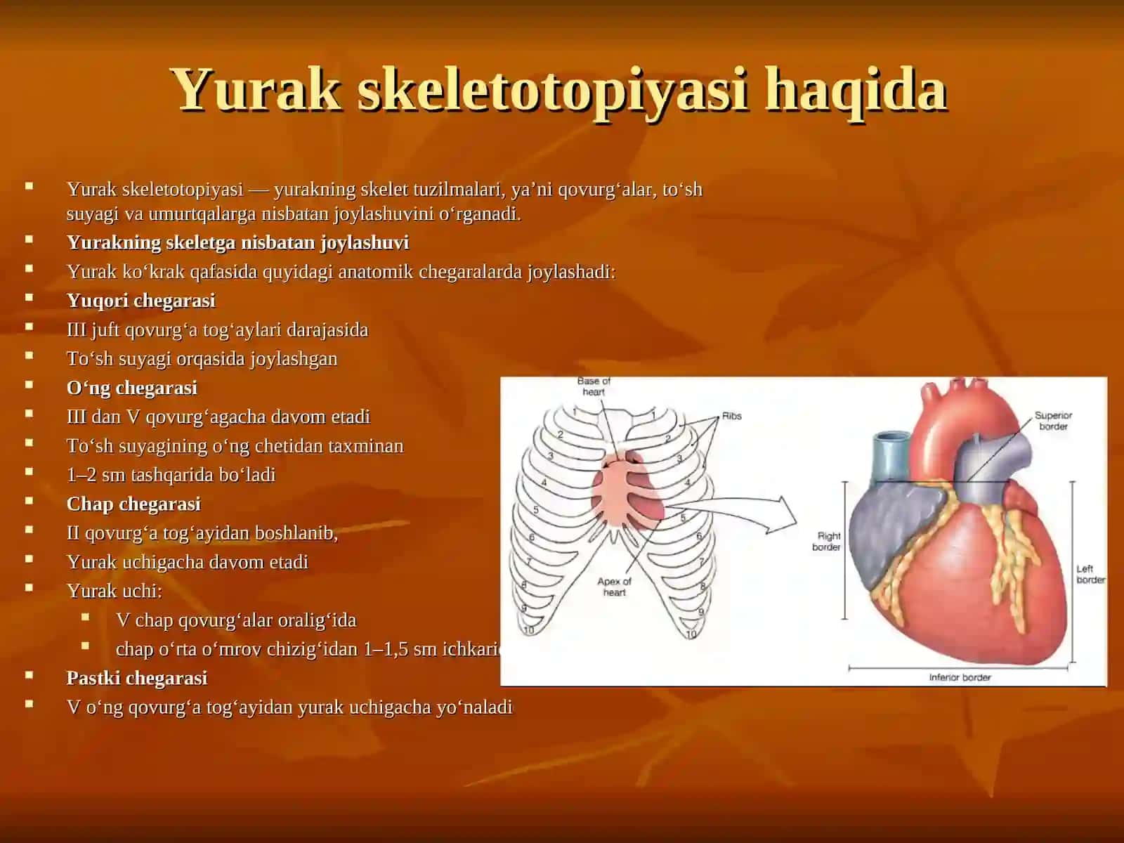 Yurak golatopiyasi, skletotopiyasi sintopiyasi 4