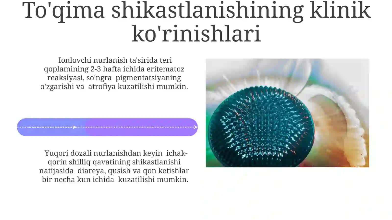 Ionlashtiruvchi nurlarning normal to'qimalarga ta'siri 4