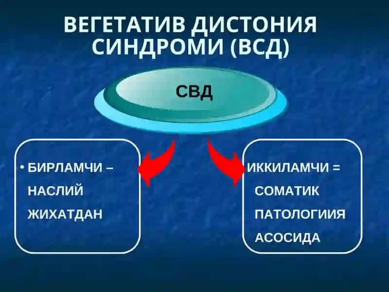 БОЛАЛАР ВА УСМИРЛАРДА ВЕГЕТАТИВ ДИСТОНИЯ CИНДРОМИ 4