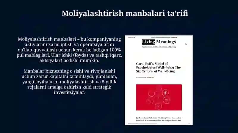 Moliyalashtirish manbalari: ta'rifi, tasnifi 4