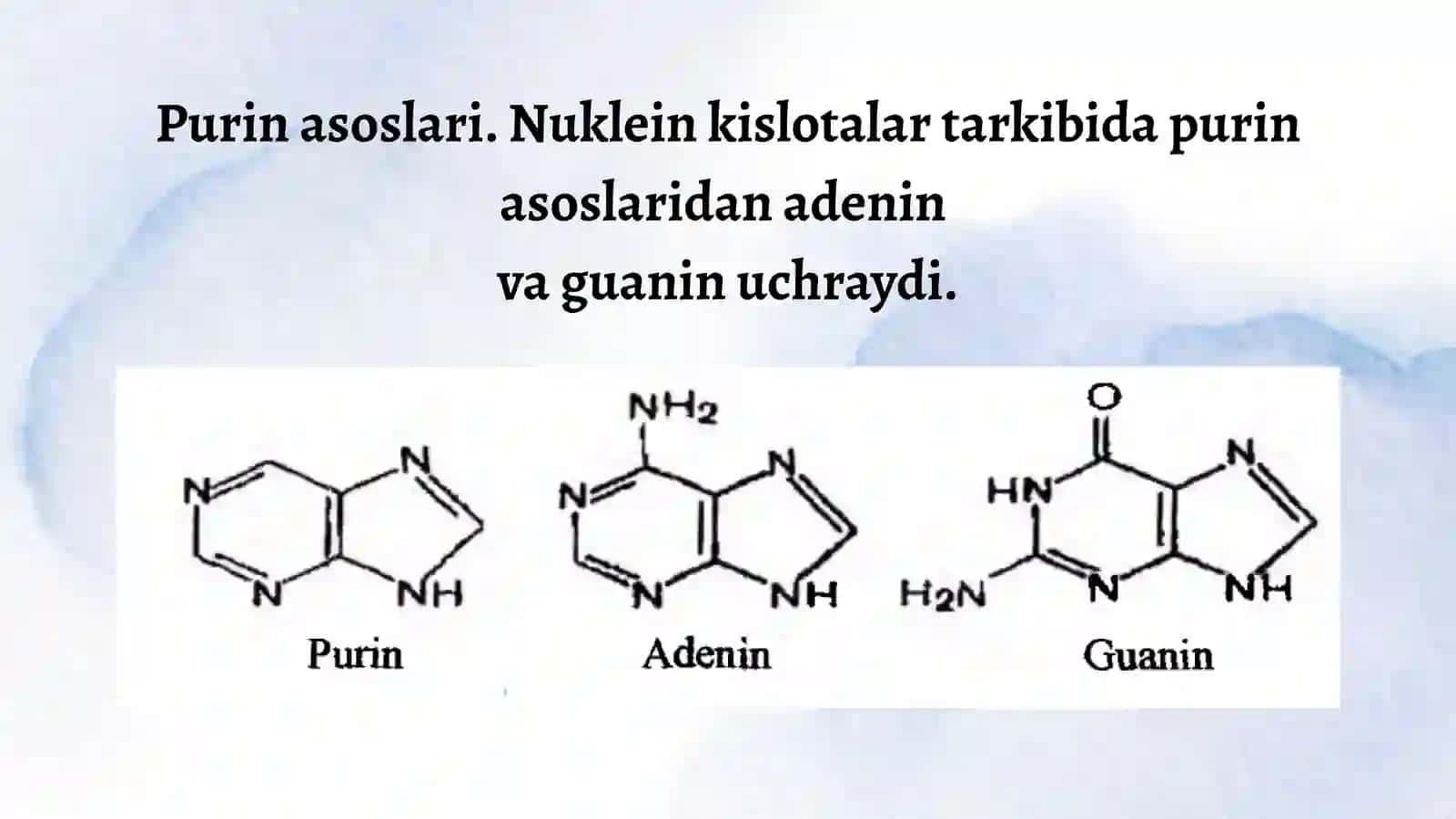 NUKLEIN KISLOTALARNING TUZILISHI 4