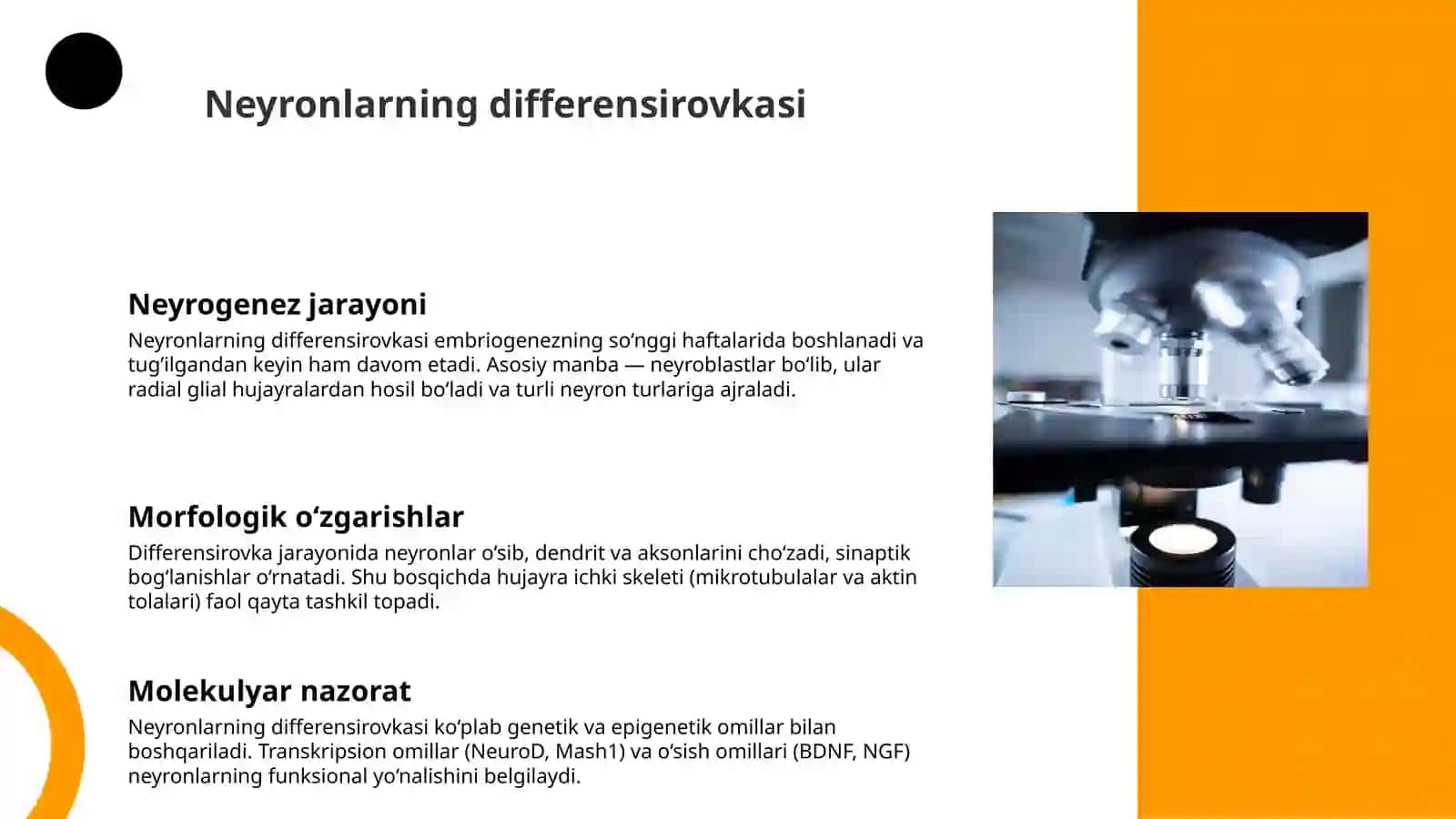 Bolalarda bosh miyaning morfologik va funksional xususiyatlari 4