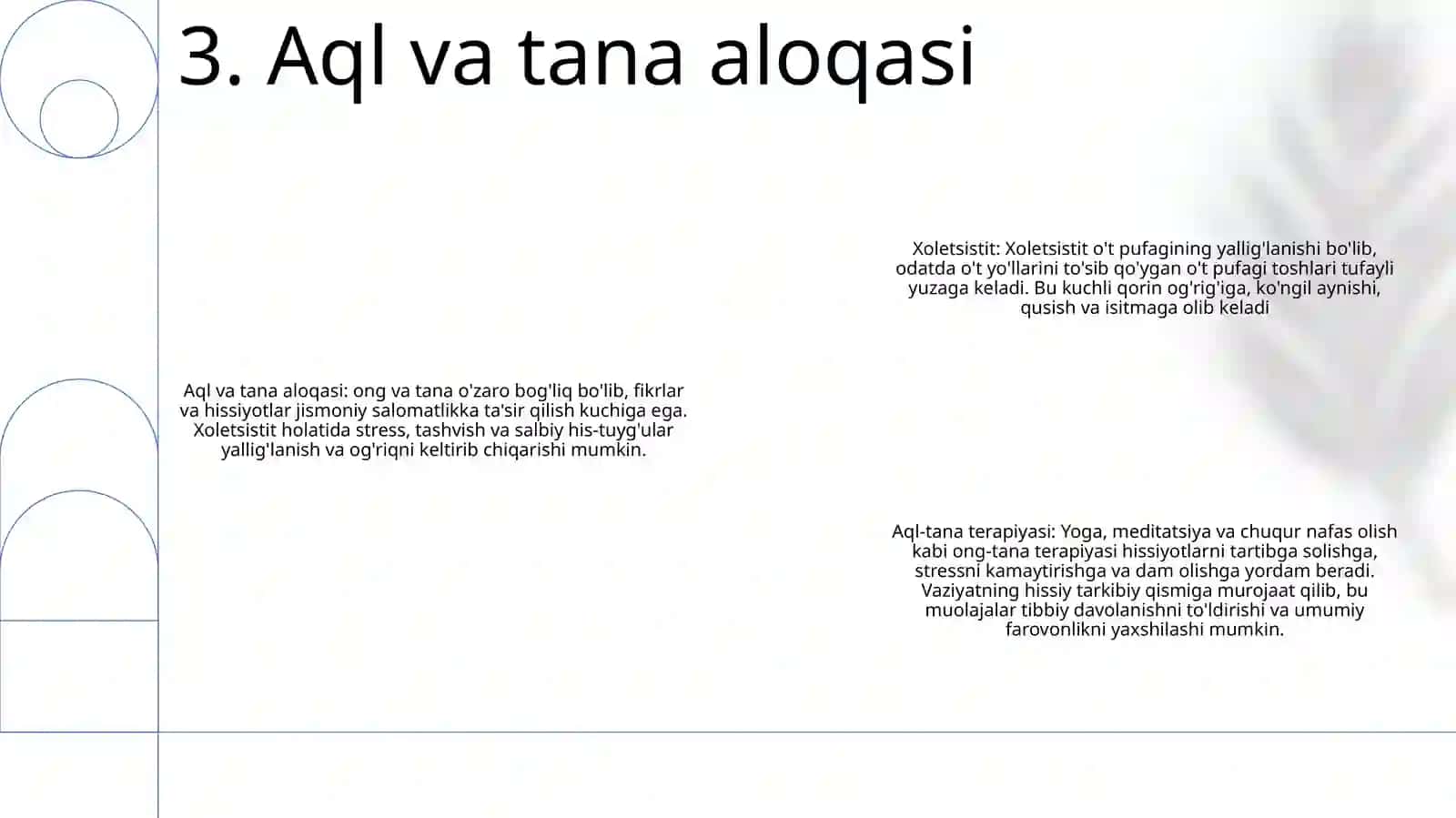 Xolisistit 4