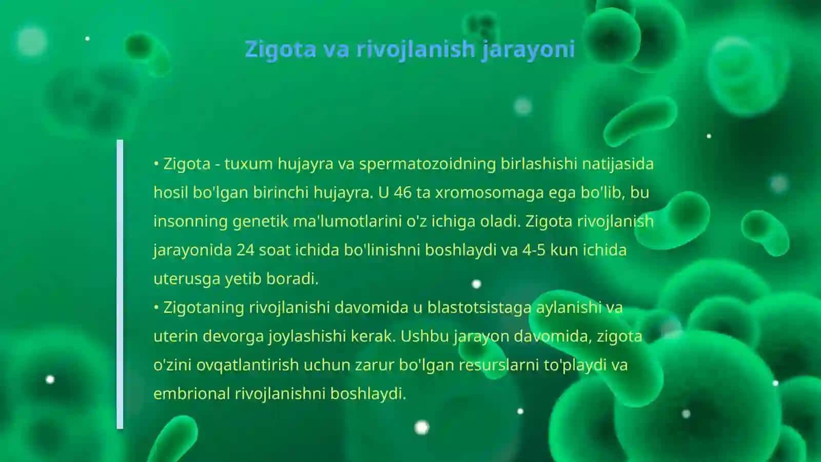 Embriogenez 4