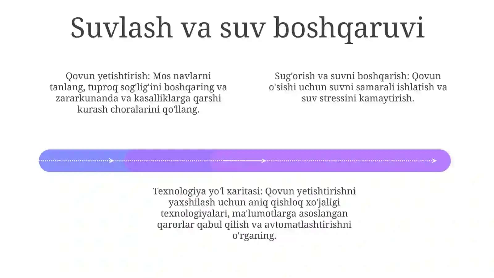 Melon sanoatining kelajak yo'l xaritasi 4