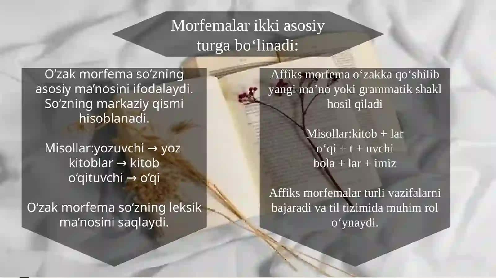 Hozirgi o’zbek adabiy tili. Morfemika 4
