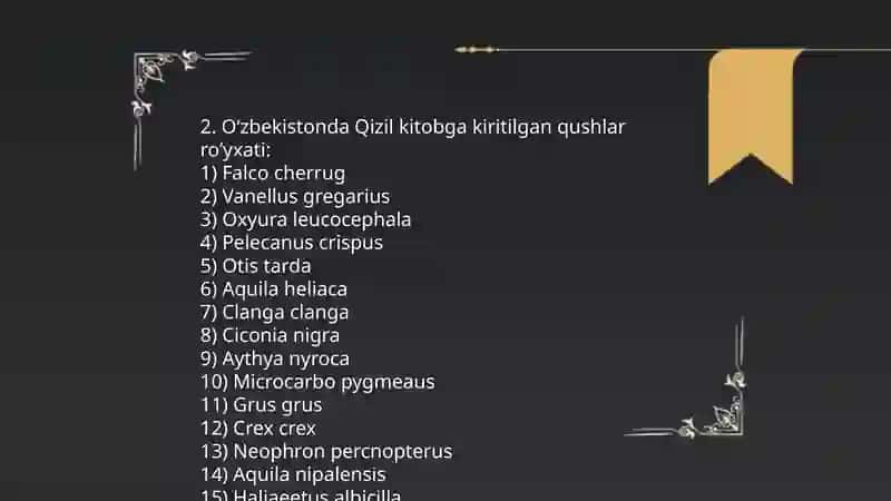 Qizil kitobga kiritilgan qushlar haqida 4