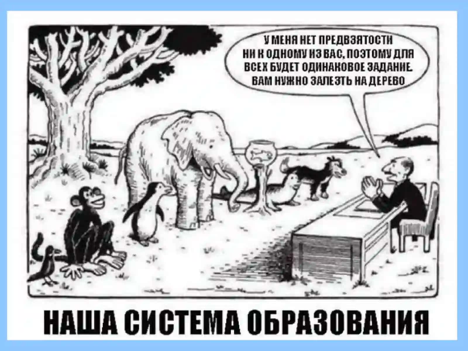 Xorijda geografiya ta’limi o’qitish metodikasi va dasturlari 4