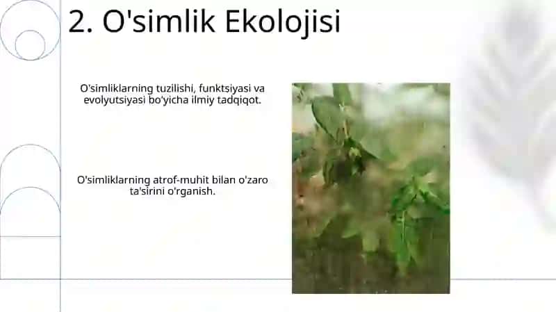 Botanika 4